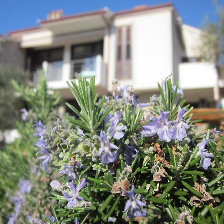 Apartments Palma & Pino Cres Exterior photo